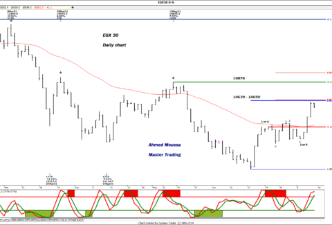 217888591_522034629137322_520679619417534970_n