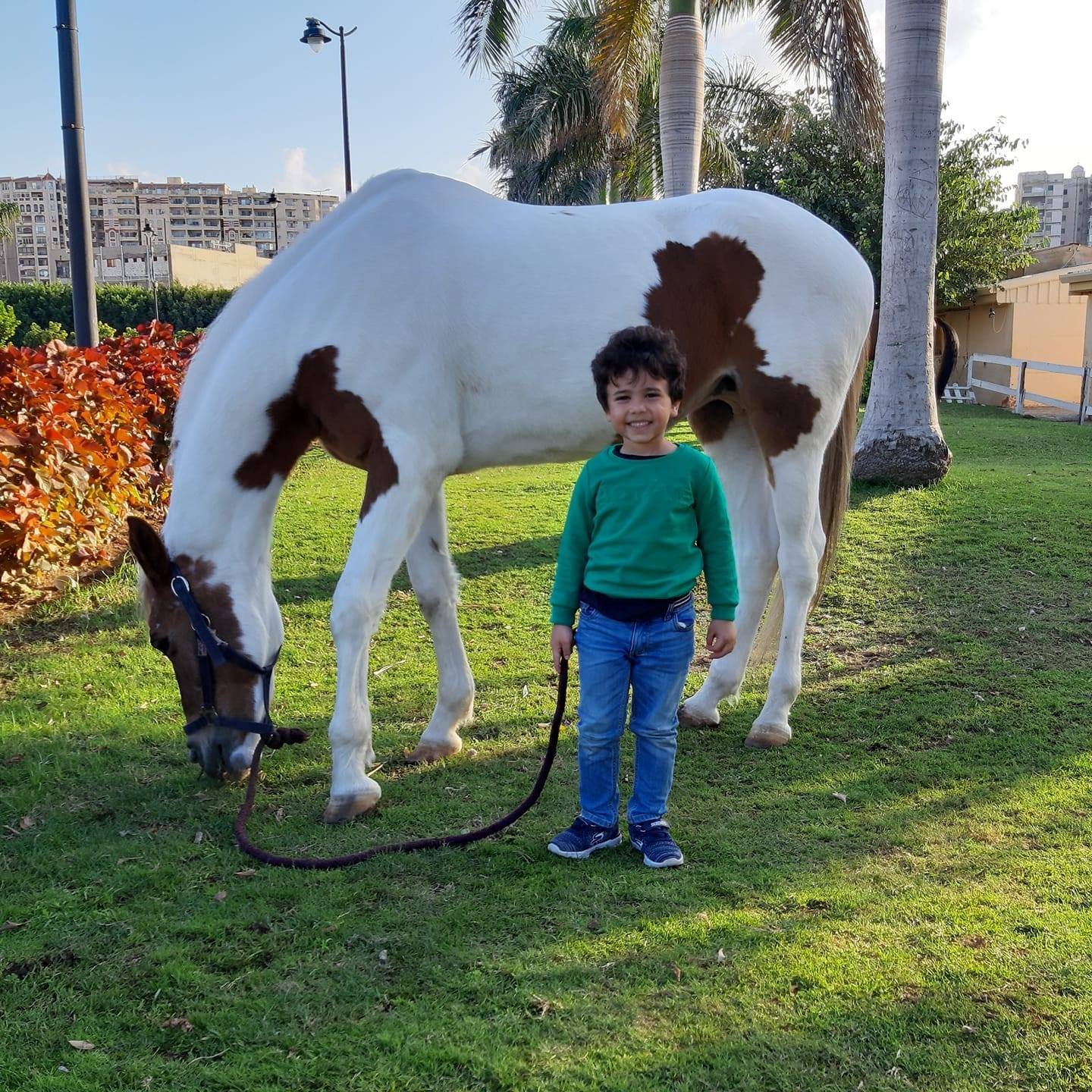 124794944_10157300201210989_7437523783797843626_n